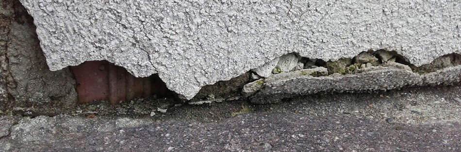 WhatsApp Image 2016-12-07 at 08.47.07